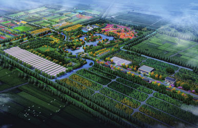 新疆喀什·绿美南疆林业产业园